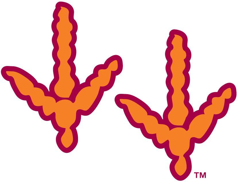 Virginia Tech Hokies 2000-Pres Alternate Logo v2 iron on transfers for fabric